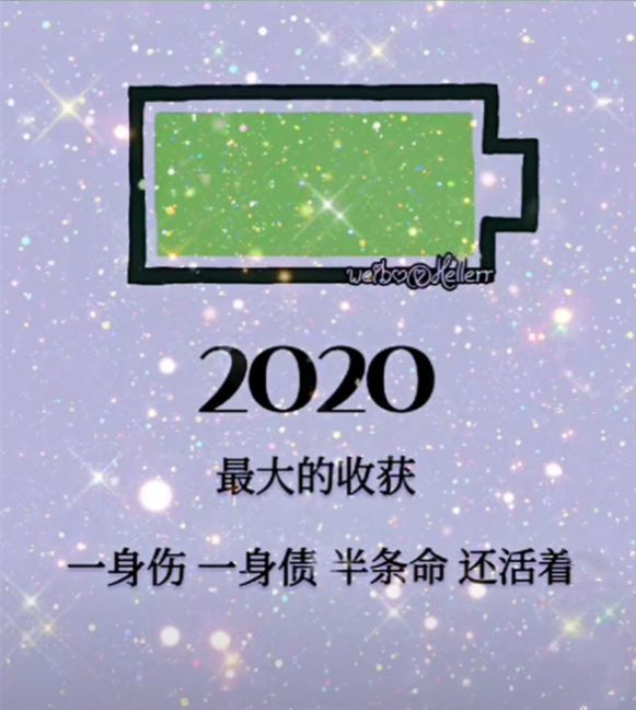 2020年最大的收获一身伤一身债半条命还活着图片