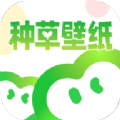 种草壁纸v1.0.0