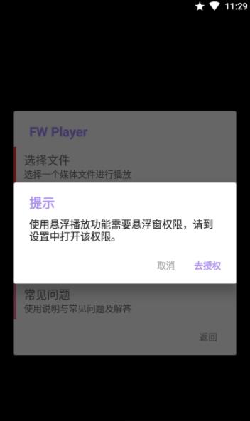 FW 播放器