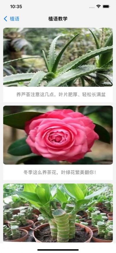 绿植日常记录助理